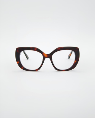 Jessica Turtle Brown Readers