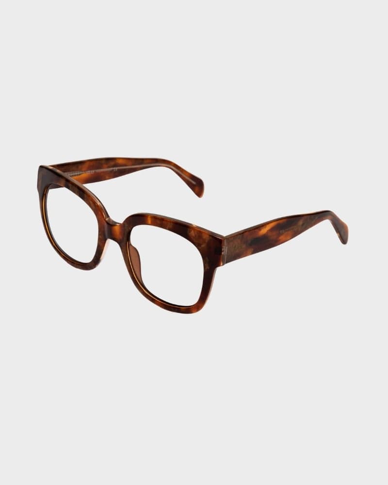 Chloe Turtle Brown Readers