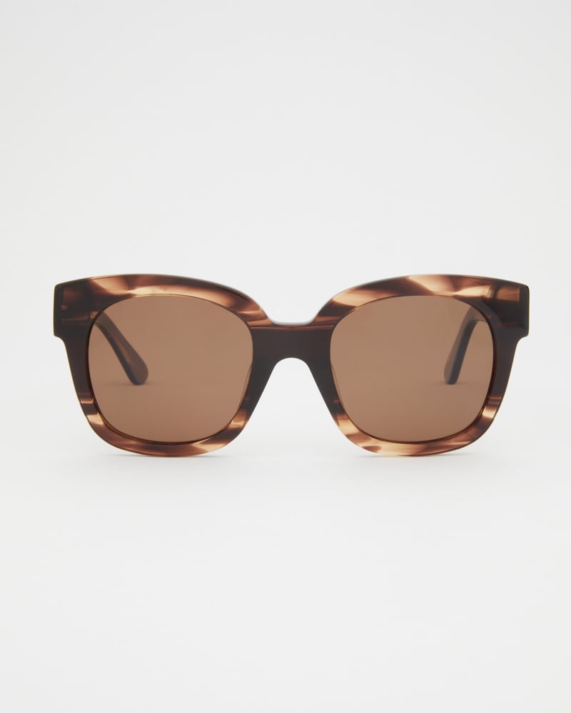 Chloe Dark Brown Sunglasses