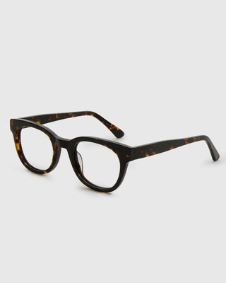Jamie Turtle Brown Readers