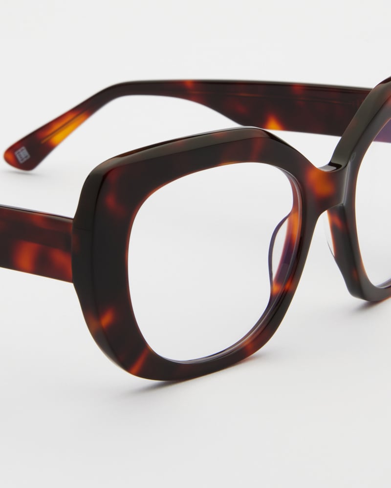 Jessica Turtle Brown Readers