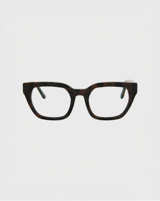 Kiara Turtle Brown Readers